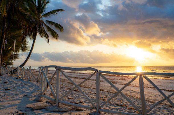 Диани