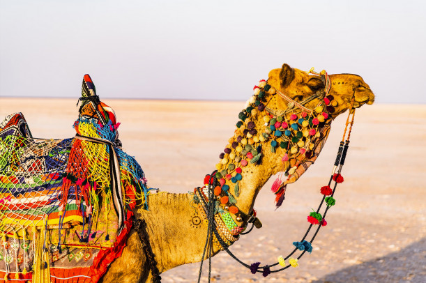 Индия