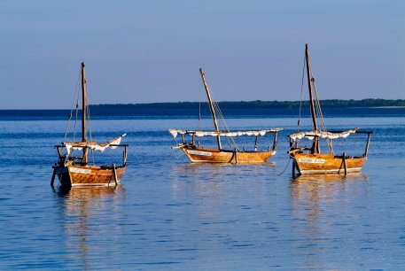 Сафари Блю (с обедом)
